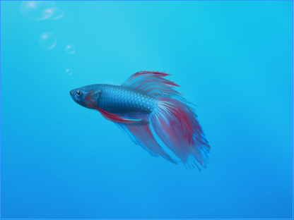 Windows 7 fish